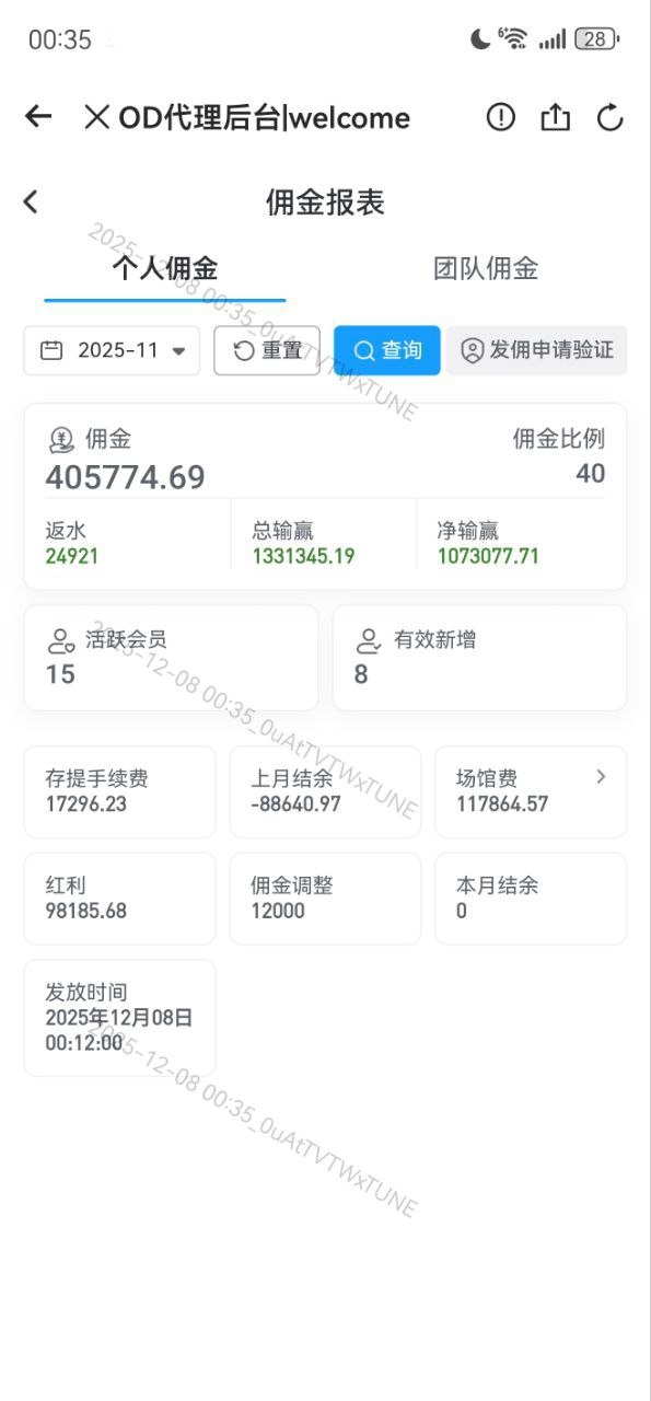 代理数据截图